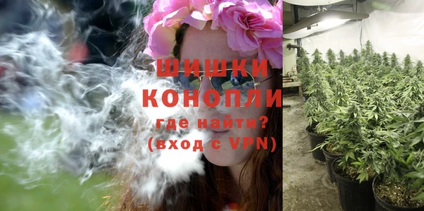 стаф Балахна