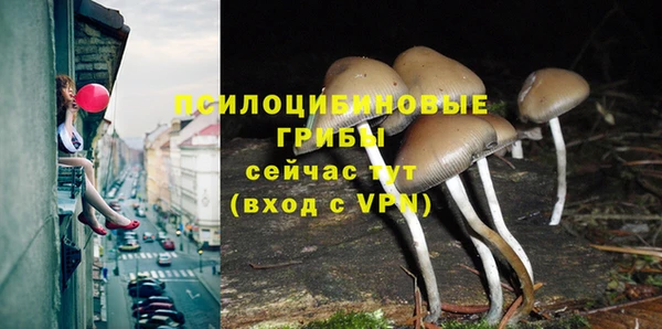 сатива Няндома