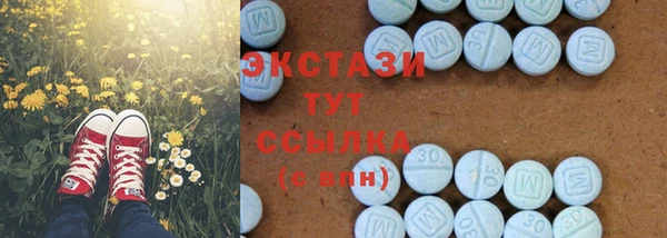 сатива Няндома